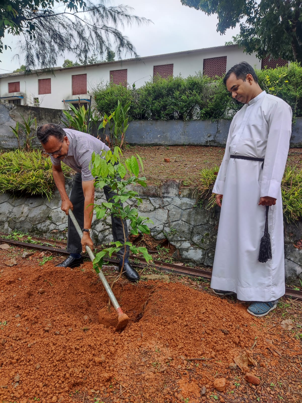Glimpses of Environment day 2026